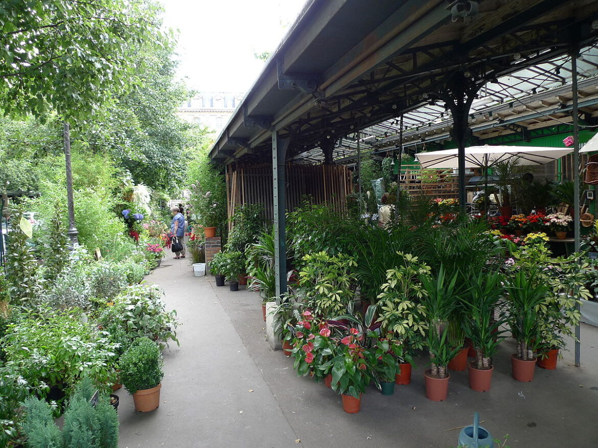 Street Markets